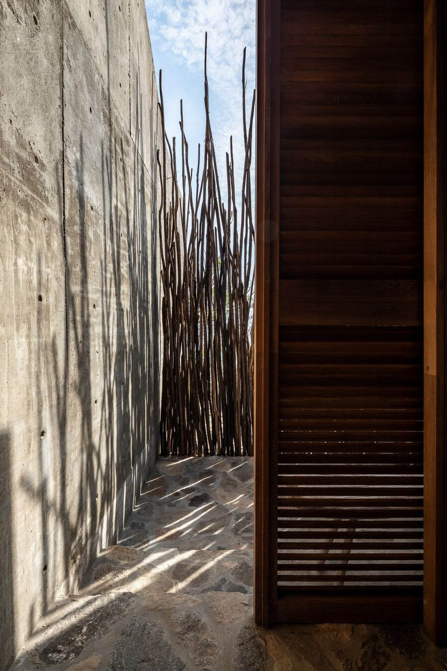 sapo diagrama 11 4a27a