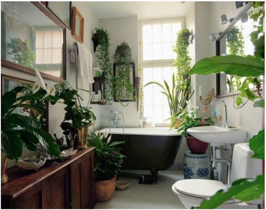 design tricks plants in the house pinterest1 7e8c7