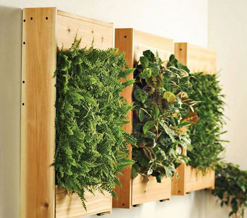 Indoor living wall kits are easy to replicate 08cee